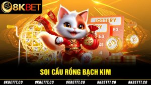 soi cầu rồng bạch kim 8kbet